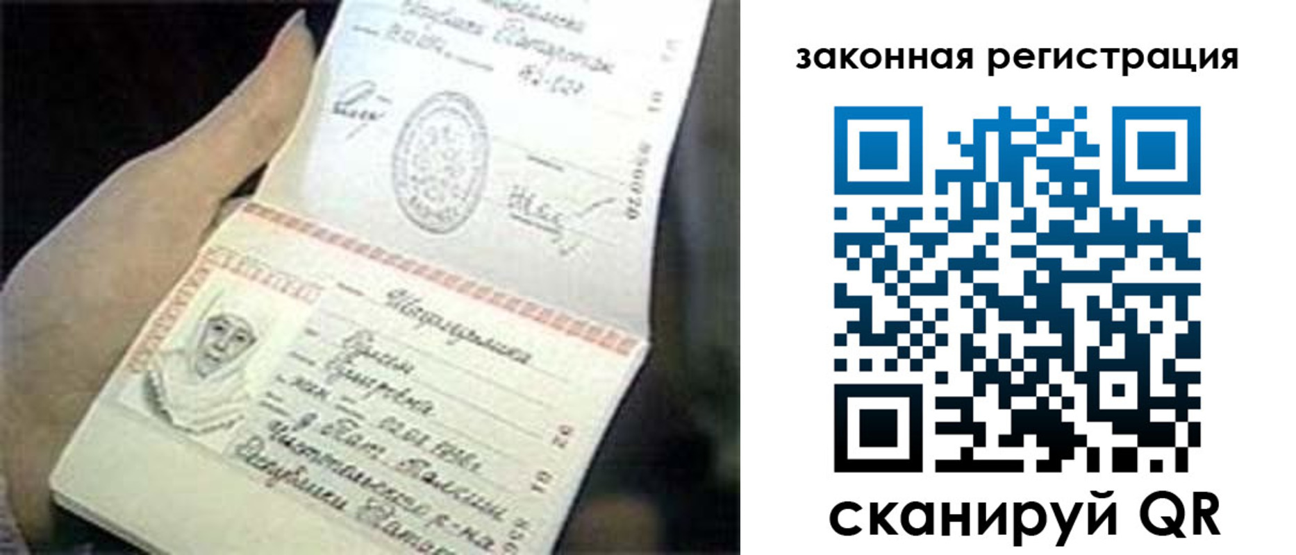 прописка для школы в Жердевке